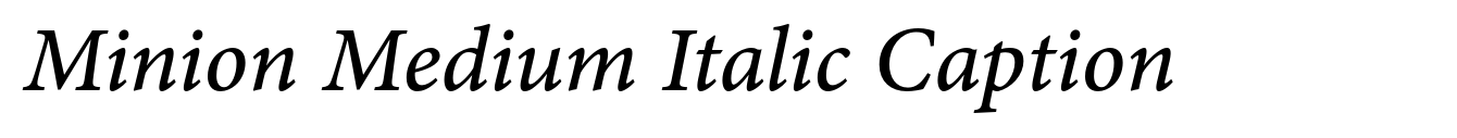 Minion Medium Italic Caption image